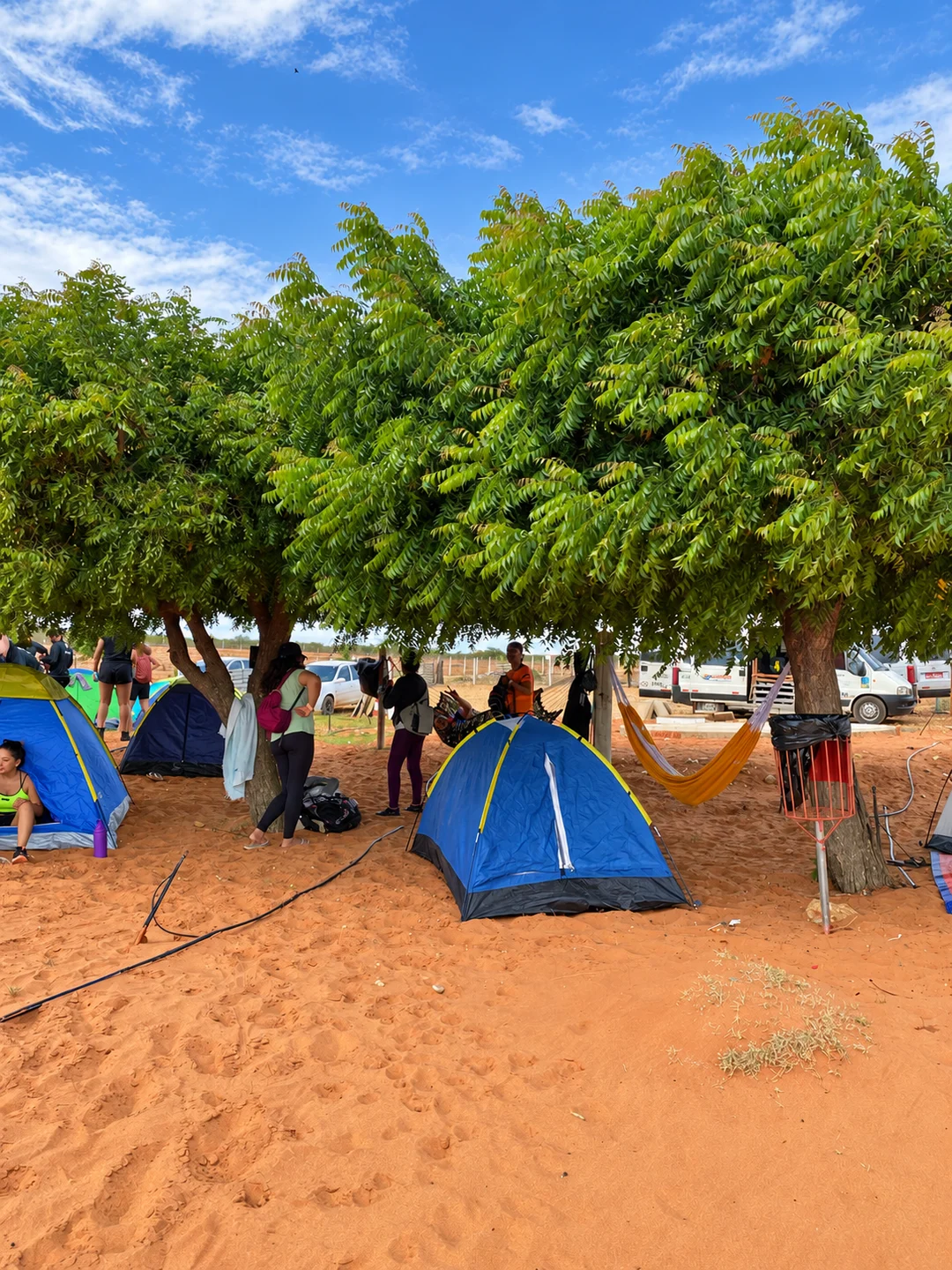 Convivência e descanso sob as árvores